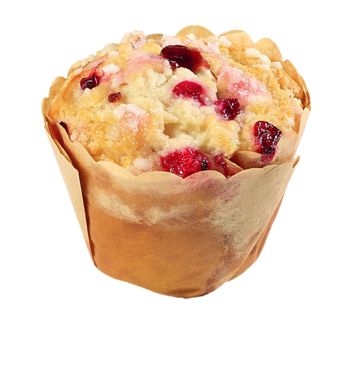 <h5>Neu bei Bergkind; vegane Muffins in 100gr und Mini. Diverse Sorten</h5>